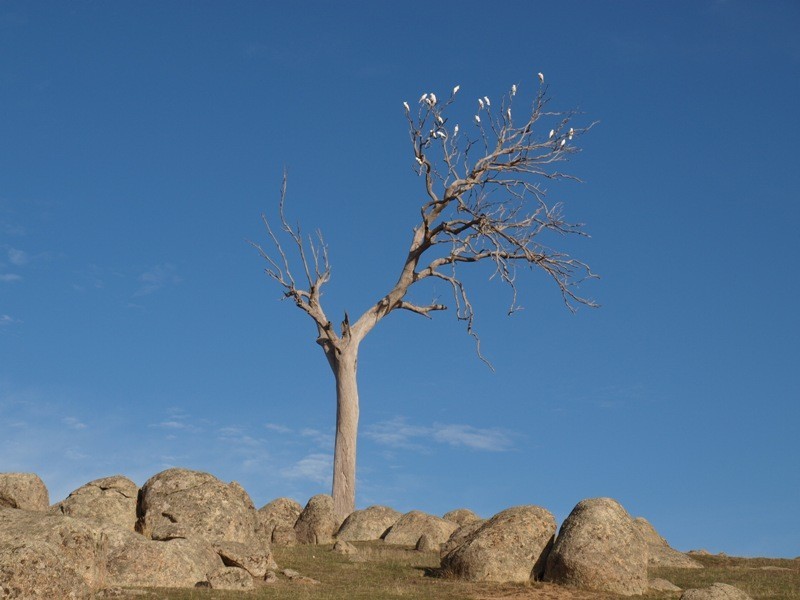 520 West Road, Pyalong VIC 3521