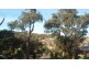 10  Mannagum Court, Kilmore VIC 3764