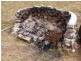 Murchison VIC 3610