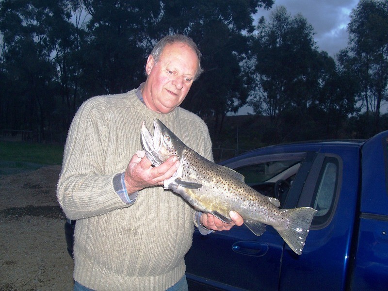 Murchison VIC 3610