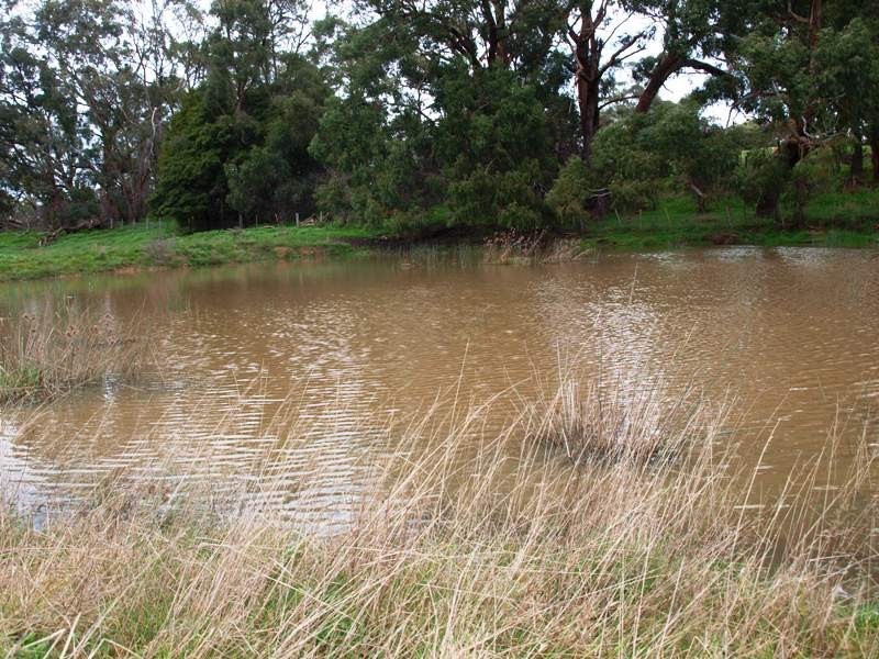 Kilmore VIC 3764