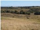 335 Wickhams Lane, Tooborac VIC 3522