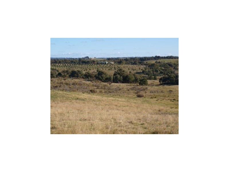 335 Wickhams Lane, Tooborac VIC 3522