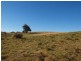 335 Wickhams Lane, Tooborac VIC 3522