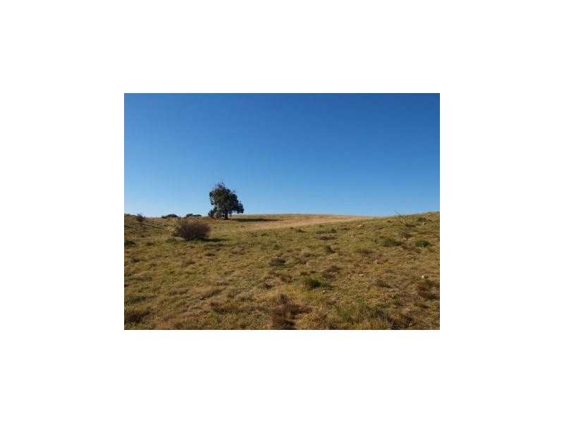 335 Wickhams Lane, Tooborac VIC 3522