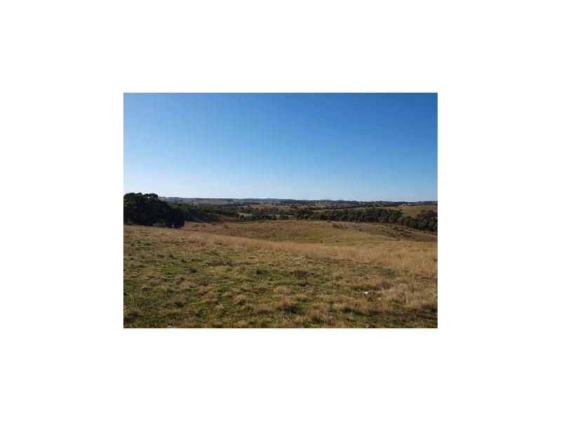 335 Wickhams Lane, Tooborac VIC 3522