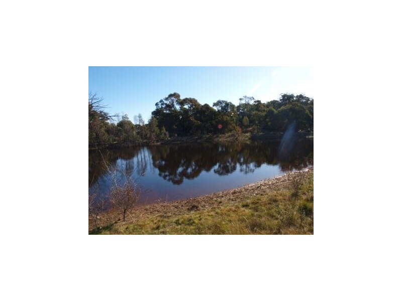 335 Wickhams Lane, Tooborac VIC 3522