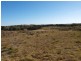 335 Wickhams Lane, Tooborac VIC 3522