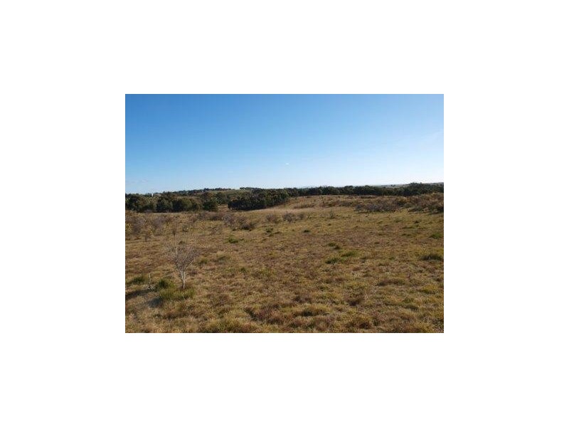 335 Wickhams Lane, Tooborac VIC 3522