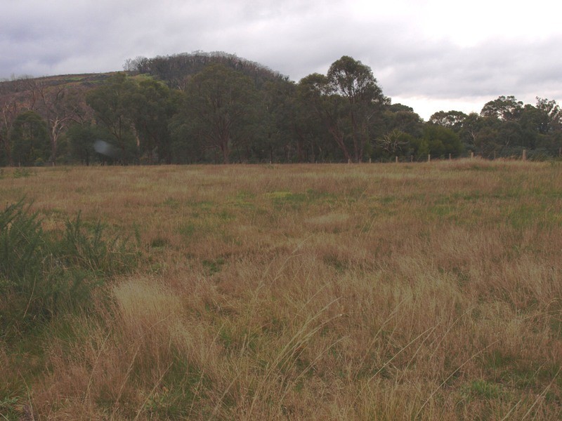 590 OGradys Road, Wandong VIC 3758