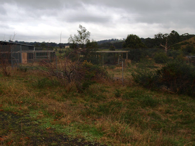 590 OGradys Road, Wandong VIC 3758