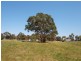 Lancefield VIC 3435