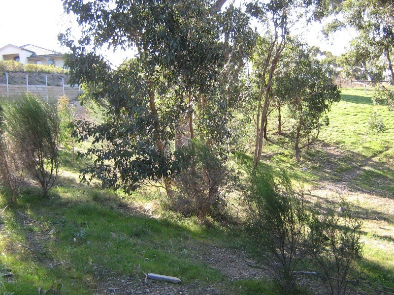 8 Tenni Close, Broadford VIC 3658