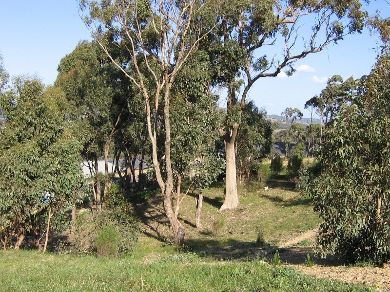 8 Tenni Close, Broadford VIC 3658