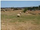 Lot J McIvors Road, Kilmore VIC 3764