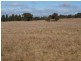 Lancefield VIC 3435