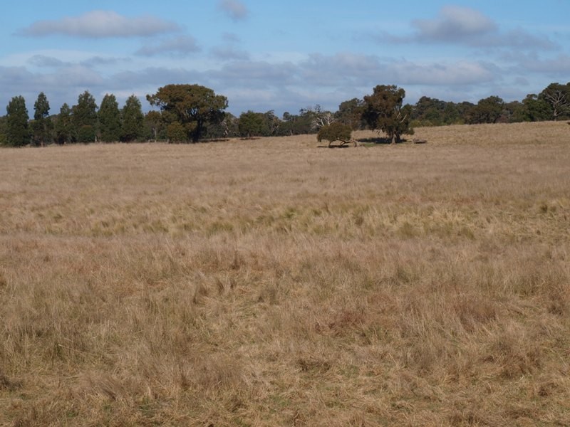 Lancefield VIC 3435