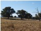 Lancefield VIC 3435