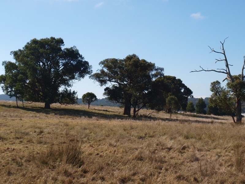 Lancefield VIC 3435