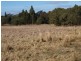 Lancefield VIC 3435
