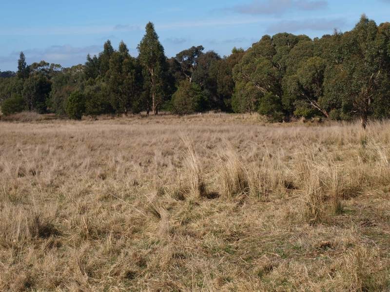 Lancefield VIC 3435