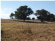 Lancefield VIC 3435