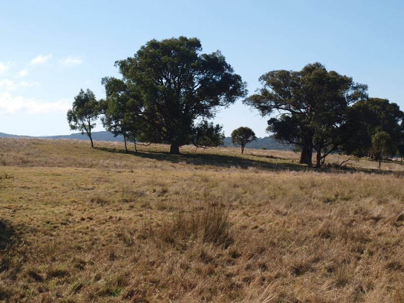Lancefield VIC 3435