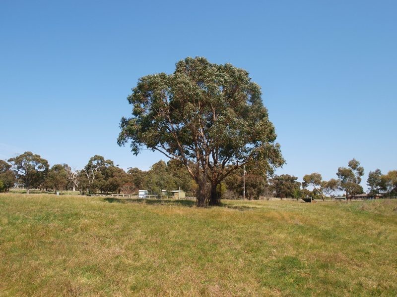 Lancefield VIC 3435