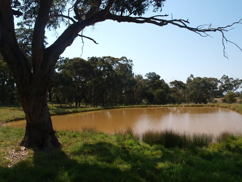 Lancefield VIC 3435