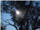 Lancefield VIC 3435