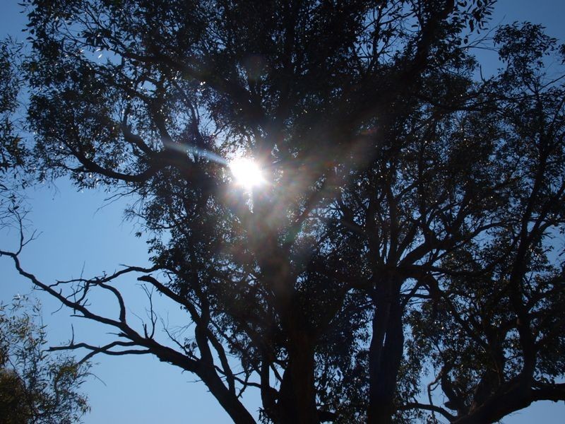 Lancefield VIC 3435