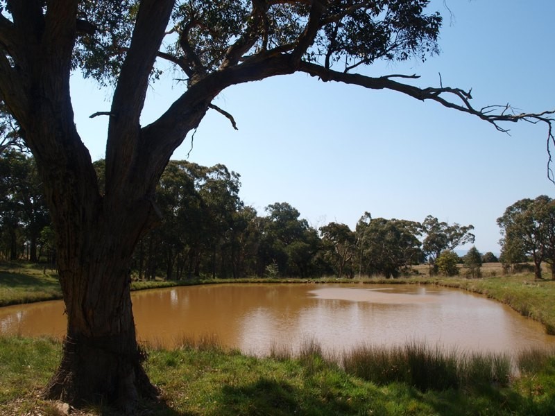Lancefield VIC 3435