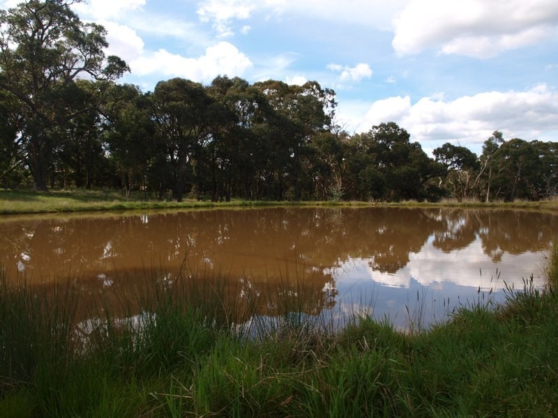 Lancefield VIC 3435