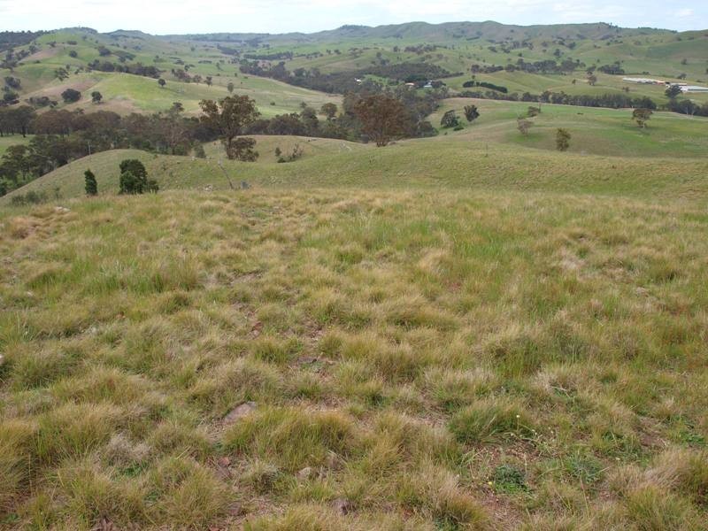 15 K Northern Highway, Pyalong VIC 3521