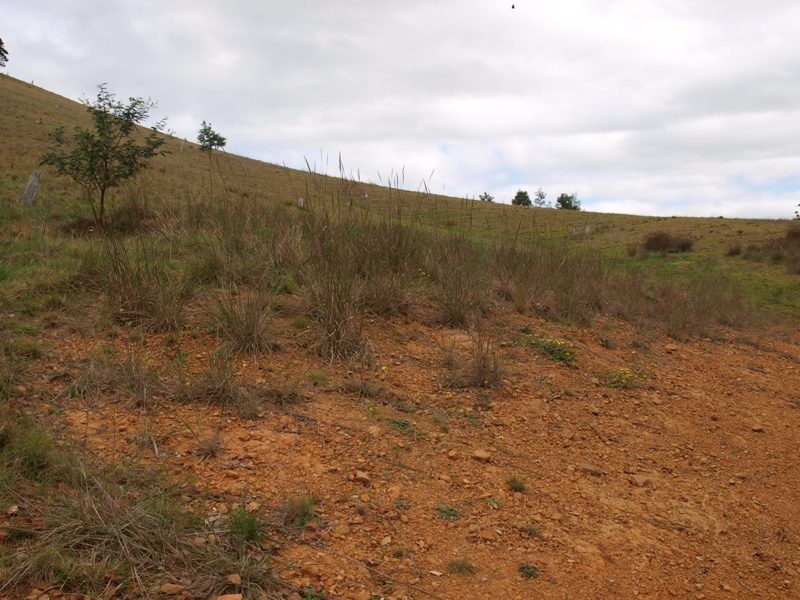 15 K Northern Highway, Pyalong VIC 3521
