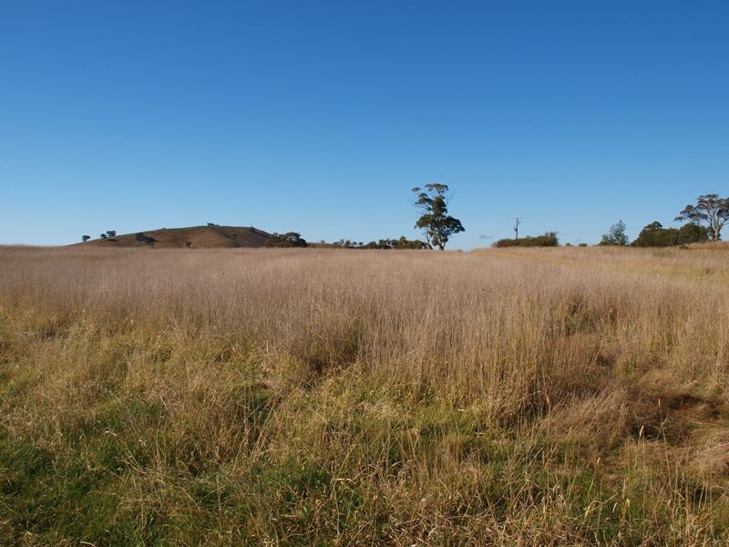 15B1 Northern Highway, Pyalong VIC 3521