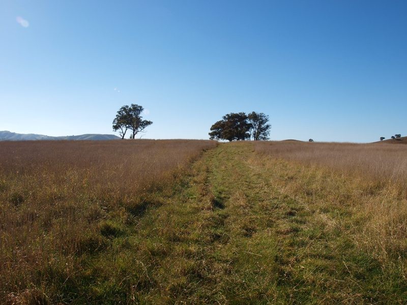 15B1 Northern Highway, Pyalong VIC 3521