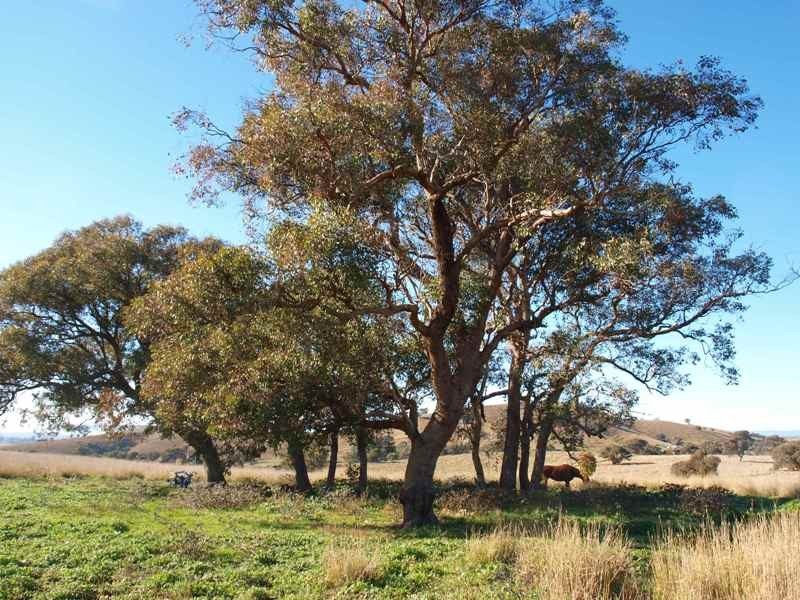 15B1 Northern Highway, Pyalong VIC 3521