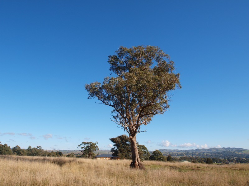 15B1 Northern Highway, Pyalong VIC 3521