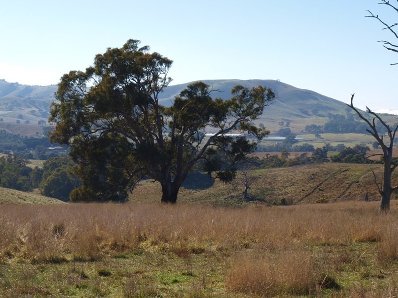 15B1 Northern Highway, Pyalong VIC 3521