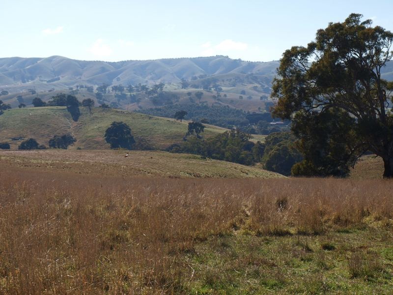 15B1 Northern Highway, Pyalong VIC 3521