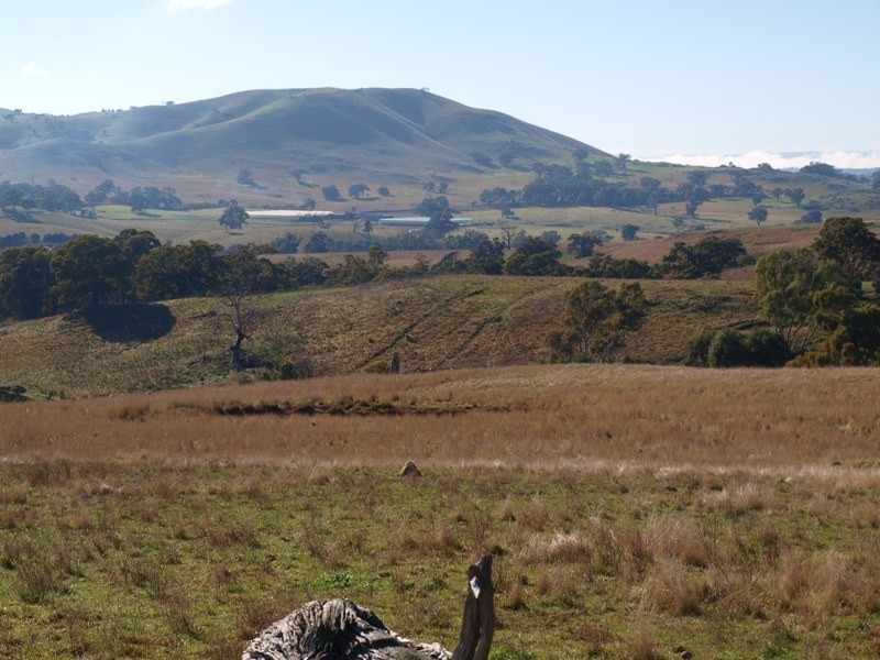 15B1 Northern Highway, Pyalong VIC 3521