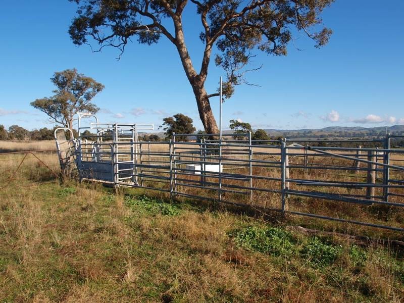 15B1 Northern Highway, Pyalong VIC 3521