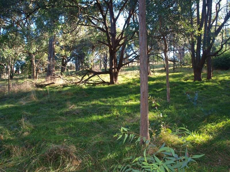Lot 12 Sir Leo Curtis Drive, Wandong VIC 3758