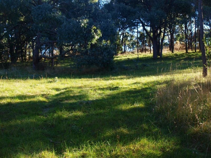 Lot 12 Sir Leo Curtis Drive, Wandong VIC 3758
