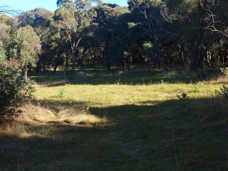 Lot 12 Sir Leo Curtis Drive, Wandong VIC 3758