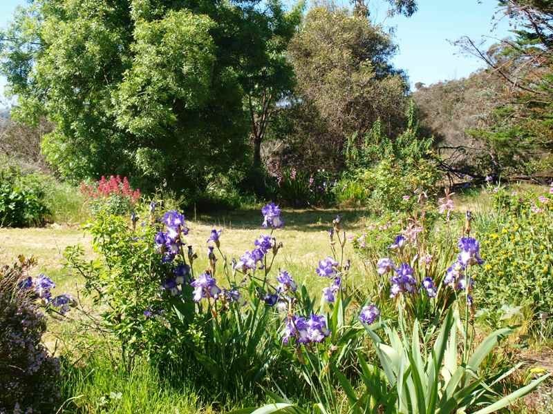 Broadford VIC 3658