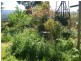 Broadford VIC 3658