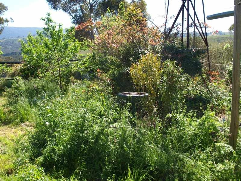 Broadford VIC 3658