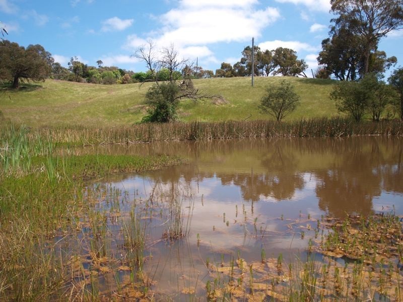 Broadford VIC 3658